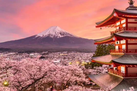 Other Ways to Get from Tokyo to Mount Fuji