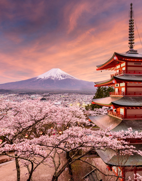 Mount Fuji