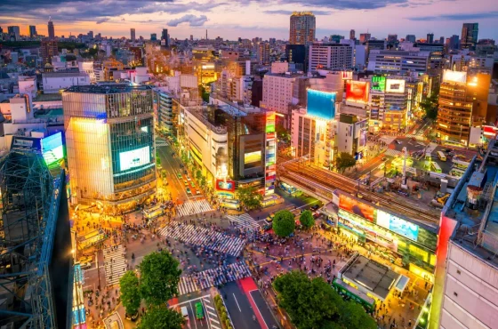 2 Day Flavors of Japan Tour from Tokyo