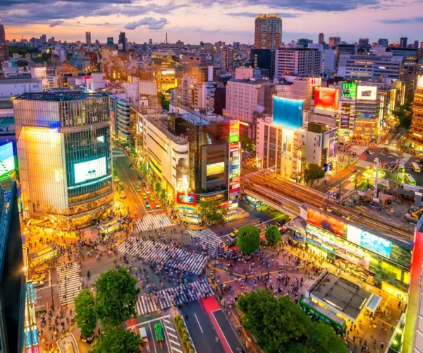2 Day Flavors of Japan Tour from Tokyo