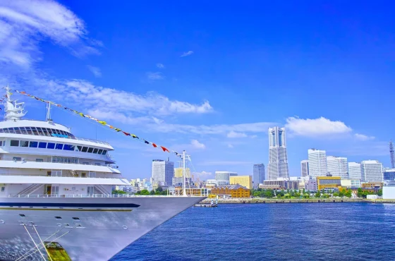 4 Day Pre/Post Cruise Tokyo Tour Package
