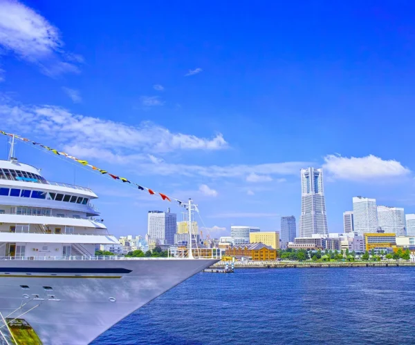 4 Day Pre/Post Cruise Tokyo Tour Package