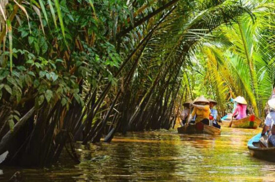 2 DAYS 1 NIGHT (HO CHI MINH CITY – MY THO – HO CHI MINH CITY)