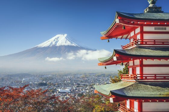 Mt. Fuji Full-day Day Trip Tour from Tokyo with a Private Car & Guide