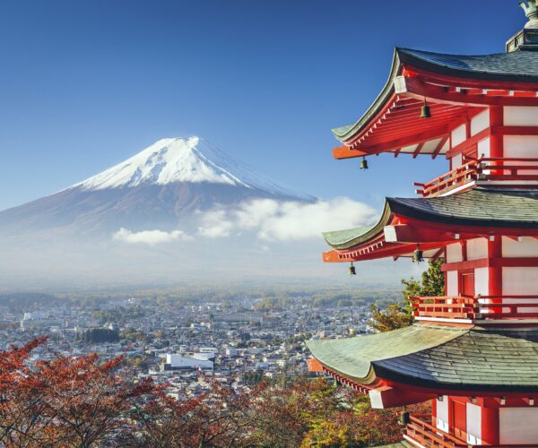 Mt. Fuji Full-day Day Trip Tour from Tokyo with a Private Car & Guide
