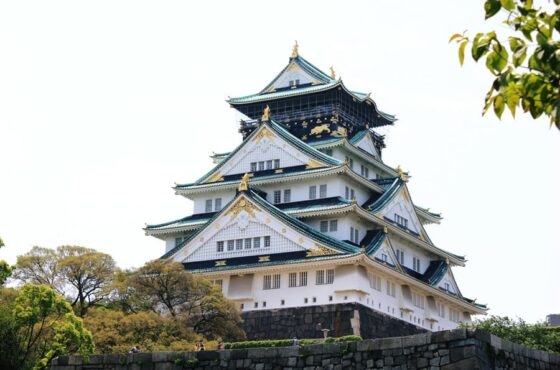 5-Hour Osaka Highlights Bike Tour with Lunch