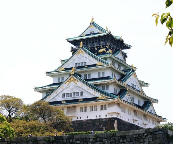 5-Hour Osaka Highlights Bike Tour with Lunch
