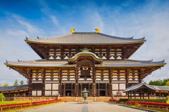 Nara Half Day Trip Walking Tour