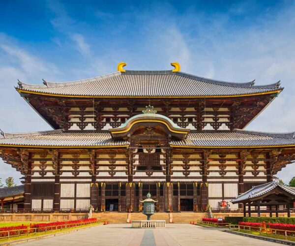 Nara Half Day Trip Walking Tour