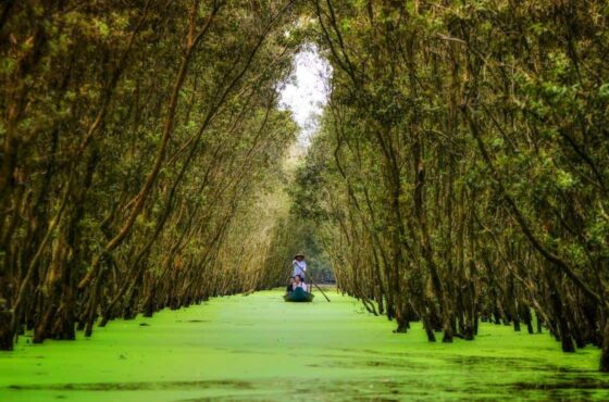 BEN TRE FULL DAY TOUR (L)