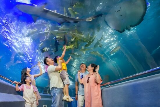 FULL DAY TOUR IN NHA TRANG (L)