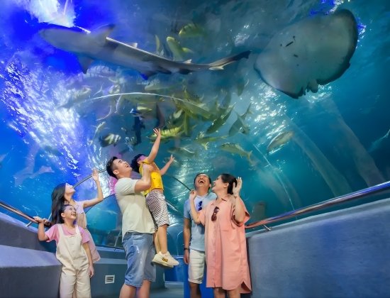 FULL DAY TOUR IN NHA TRANG (L)