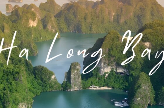 10 DAYS 9 NIGHTS – VIETNAM EXPERIENCE