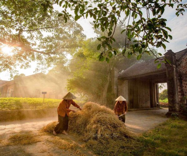 ANCIENT VILLAGE OF DUONG LAM