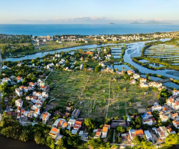 ORGANIC LIFE AT TRA QUE VILLAGE (L)